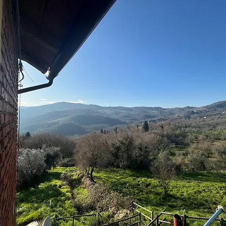 Zafferano *